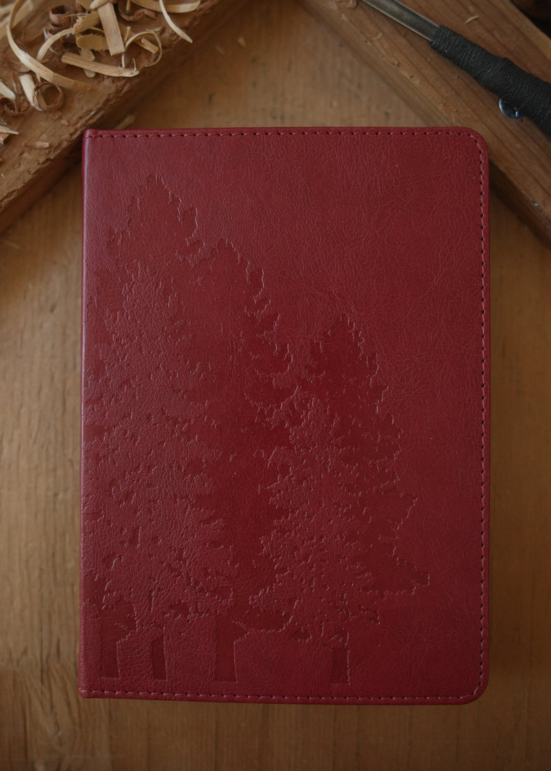 Cover, front